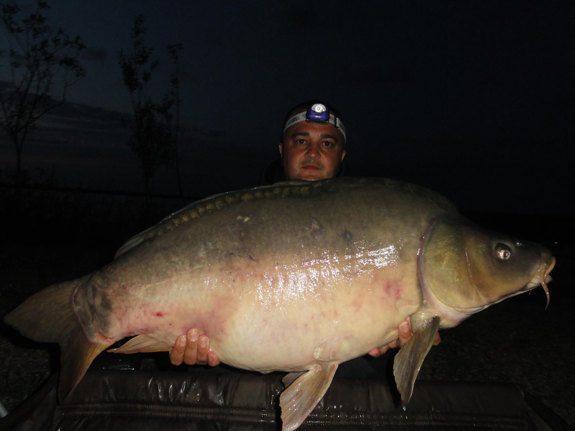 Iunie 2013 - Siclau - iunie 2013